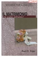 Il matrimonio. Un sogno infranto? (eBook)